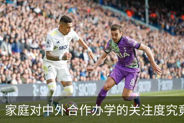 家庭对中外合作办学的关注度究竟有多高？